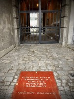 Fot. Marta Piotrowska