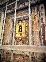 Fot. Marta Piotrowska