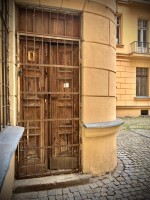 Fot. Marta Piotrowska