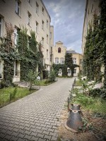 Fot. Marta Piotrowska