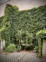 Fot. Marta Piotrowska