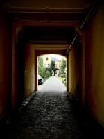 Fot. Marta Piotrowska