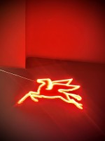 Fot. Marta Piotrowska