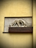 Fot. Marta Piotrowska