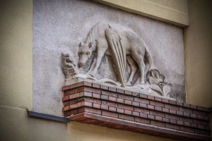 Fot. Marta Piotrowska