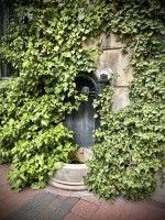 Fot. Marta Piotrowska