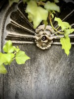 Fot. Marta Piotrowska