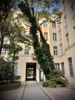 Fot. Marta Piotrowska