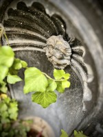 Fot. Marta Piotrowska