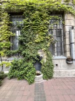 Fot. Marta Piotrowska