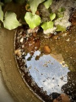 Fot. Marta Piotrowska