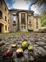 Fot. Marta Piotrowska