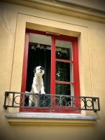 Fot. Marta Piotrowska