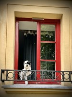 Fot. Marta Piotrowska