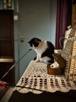 Fot. Marta Piotrowska