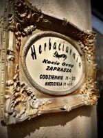 Fot. Marta Piotrowska