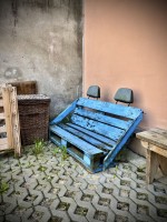 Fot. Marta Piotrowska