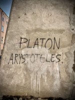 Fot. Marta Piotrowska