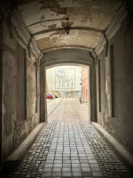 Fot. Marta Piotrowska