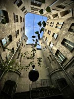 Fot. Marta Piotrowska