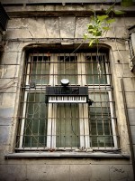 Fot. Marta Piotrowska