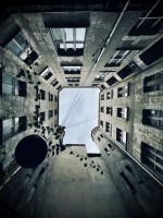 Fot. Marta Piotrowska