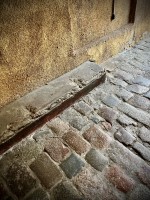 Fot. Marta Piotrowska