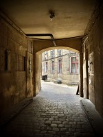 Fot. Marta Piotrowska