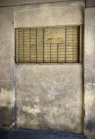 Fot. Marta Piotrowska