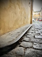 Fot. Marta Piotrowska