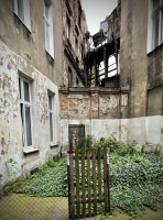 Fot. Marta Piotrowska