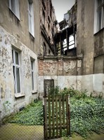 Fot. Marta Piotrowska