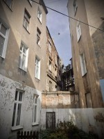 Fot. Marta Piotrowska