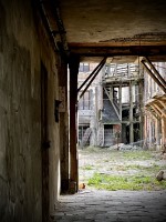 Fot. Marta Piotrowska