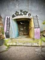 Fot. Marta Piotrowska