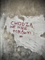 Fot. Marta Piotrowska