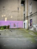 Fot. Marta Piotrowska