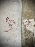 Fot. Marta Piotrowska