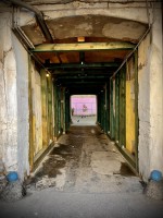 Fot. Marta Piotrowska