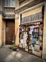 Fot. Marta Piotrowska