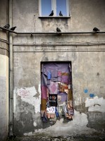 Fot. Marta Piotrowska