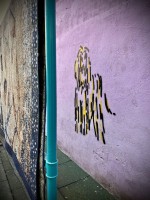 Fot. Marta Piotrowska