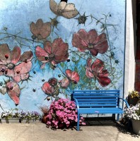 Fot. Marta Piotrowska