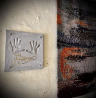 Fot. Marta Piotrowska