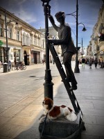 Fot. Marta Piotrowska