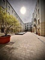 Fot. Marta Piotrowska