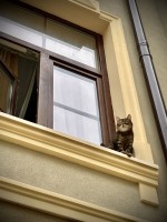 Fot. Marta Piotrowska