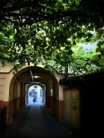 Fot. Marta Piotrowska