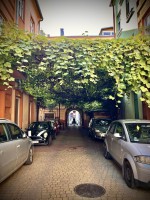 Fot. Marta Piotrowska