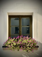 Fot. Marta Piotrowska